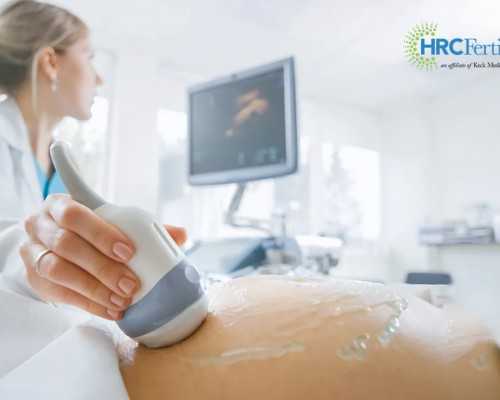 杭州最好的做试管代孕,中国试管婴儿成功怀孕后要注意初期的饮食-杭州哪家医