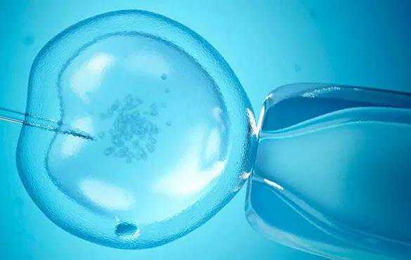 杭州代孕生的孩子算谁的|苏州供卵试管助孕机构叫什么名字？
